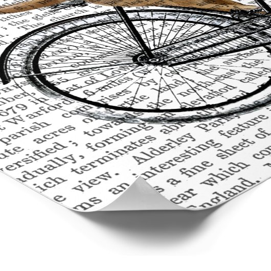 Meerkat op fiets poster (Hoek)