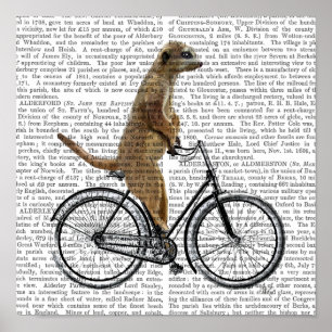 Meerkat op fiets poster