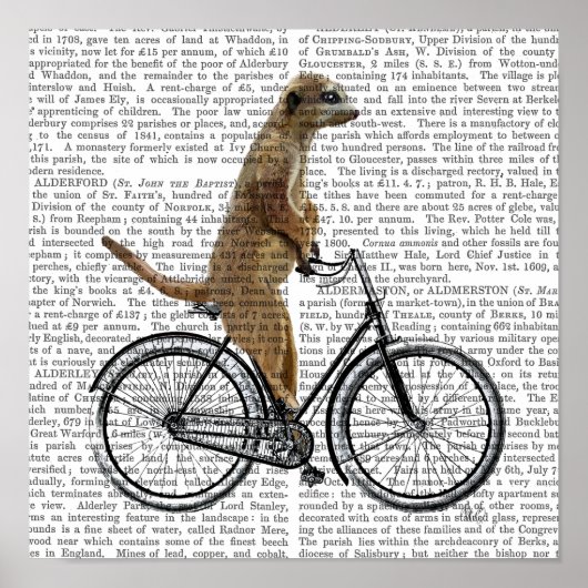 Meerkat op fiets poster (Voorkant)