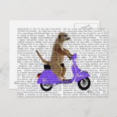 Meerkat op Lila bromfietsen Briefkaart (Voorkant / Achterkant)
