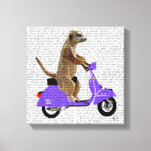 Meerkat op Lila bromfietsen Canvas Afdruk (Voorkant)