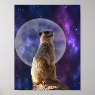 Meerkat op nachthorloge, Poster aan de muur