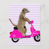 Meerkat op roze brommer 2 briefkaart (Voorkant)