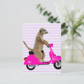 Meerkat op roze brommer 2 briefkaart (Staand voorkant)