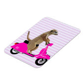 Meerkat op roze brommer 2 magneet (Linkerzijde)