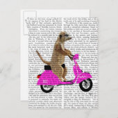 Meerkat op roze brommer briefkaart (Voorkant / Achterkant)