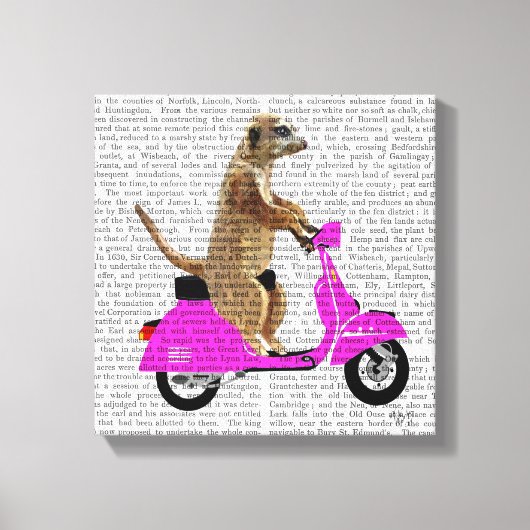 Meerkat op roze brommer canvas afdruk (Voorkant)