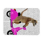 Meerkat op roze brommer magneet (Horizontaal)