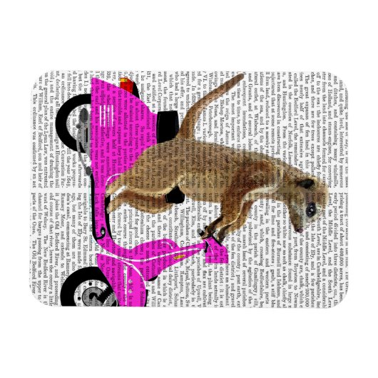 Meerkat op roze brommer magneet (Horizontaal)
