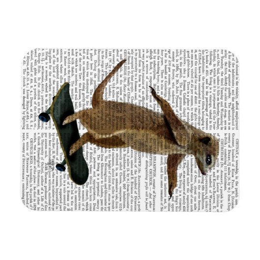 Meerkat op skateboard 2 magneet (Horizontaal)