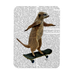 Meerkat op skateboard 2 magneet