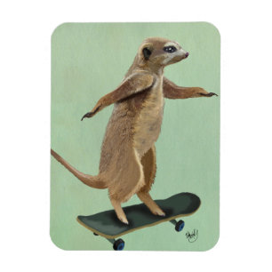 Meerkat op skateboard 3 magneet