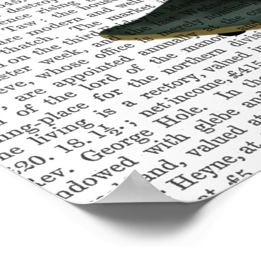 Meerkat op skateboard poster (Hoek)