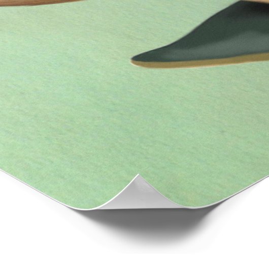 Meerkat op skateboard poster (Hoek)