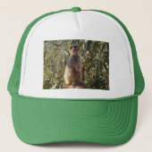 Meerkat op wachtdienst, trucker pet (Voorkant)