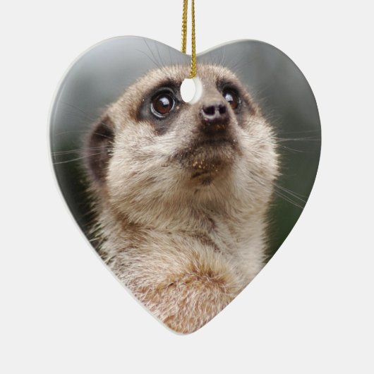 Meerkat Ornament (Rechts)