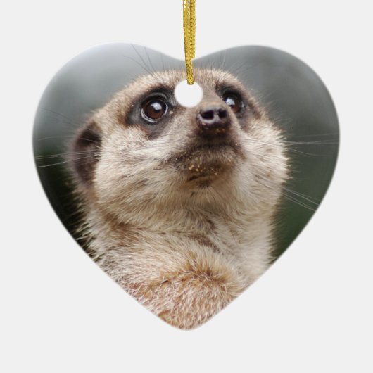 Meerkat Ornament (Voorkant)