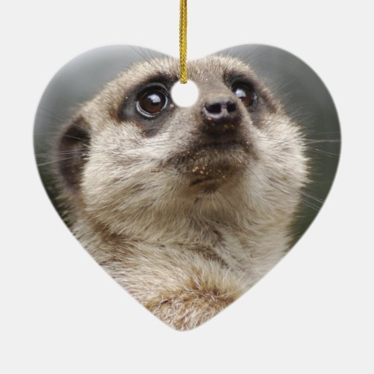 Meerkat Ornament (Achterkant)