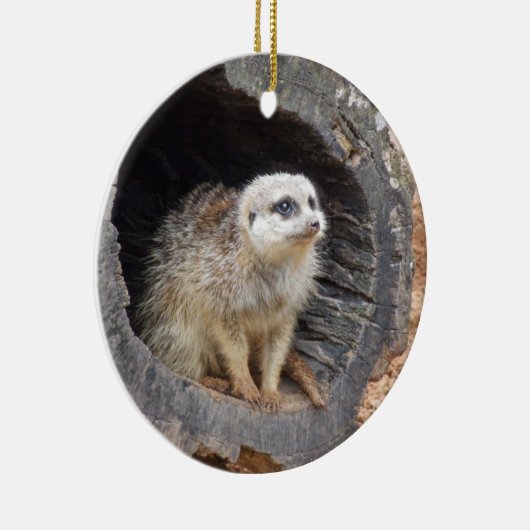 Meerkat Ornament (Rechts)