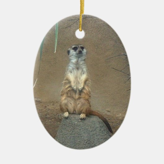 Meerkat Ornament (Voorkant)