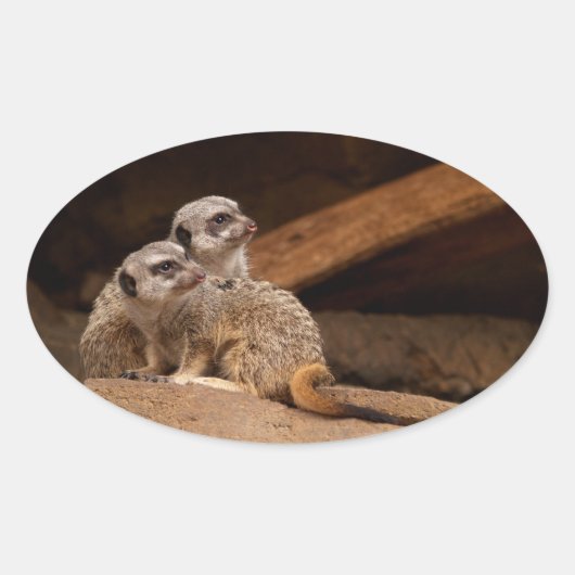 Meerkat Ovale Sticker (Voorkant)