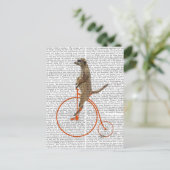 Meerkat over Oranje Penny Farthing Briefkaart (Staand voorkant)