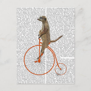 Meerkat over Oranje Penny Farthing Briefkaart
