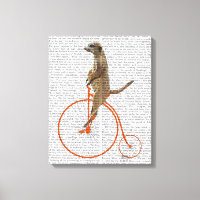 Meerkat over Oranje Penny Farthing