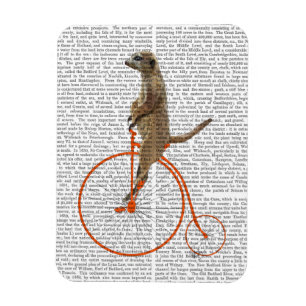 Meerkat over Oranje Penny Farthing Magneet