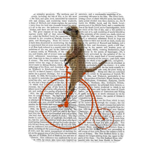 Meerkat over Oranje Penny Farthing Magneet (Verticaal)