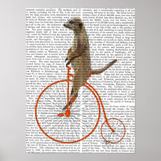 Meerkat over Oranje Penny Farthing Poster (Voorkant)