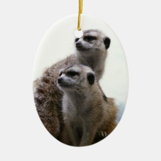 Meerkat Pair Ornament (Voorkant)