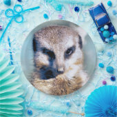 MEERKAT Paper Bord (Feest)