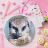 MEERKAT Paper Bord (Feest)
