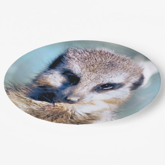 MEERKAT Paper Bord (Gekanteld)