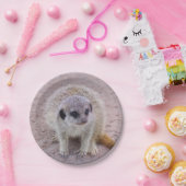 Meerkat Paper-Borden Papieren Bordje (Feest)