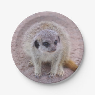 Meerkat Paper-Borden Papieren Bordje