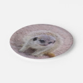 Meerkat Paper-Borden Papieren Bordje (Gekanteld)