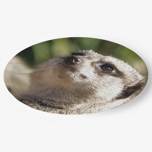 MEERKAT PAPIEREN BORDJE (Gekanteld)