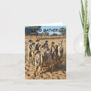 Meerkat Party Invitation Bedankkaart