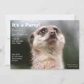 Meerkat Party Invitation Kaart (Voorkant)