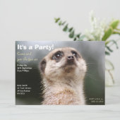 Meerkat Party Invitation Kaart (Staand voorkant)
