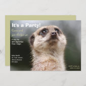 Meerkat Party Invitation Kaart (Voorkant / Achterkant)