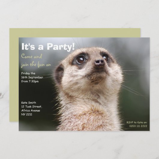 Meerkat Party Invitation Kaart (Voorkant / Achterkant)