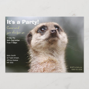 Meerkat Party Invitation Kaart