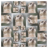Meerkat Pattern Stof (Close Up)