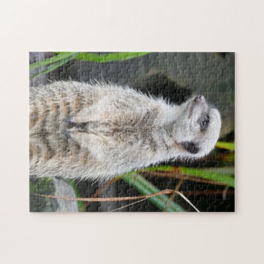 Meerkat Permanent Legpuzzel (Horizontaal)