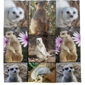 Meerkat Photo Collage Douchegordijn (Voorkant)