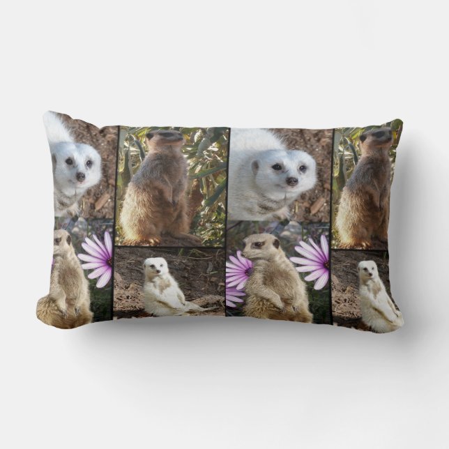 Meerkat Photo Collage, Lumbar Cushion. Kussen (Voorkant)