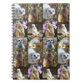 Meerkat Photo Collage Notitieboek (Voorkant)